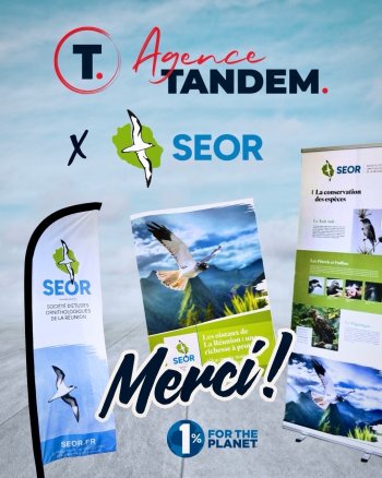 Un immense merci à l'Agence Tandem !