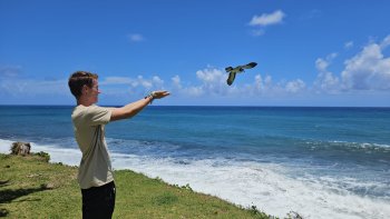 Rejoins la SEOR et son Centre de sauvegarde en tant que Médiateur·rice Faune Sauvage !