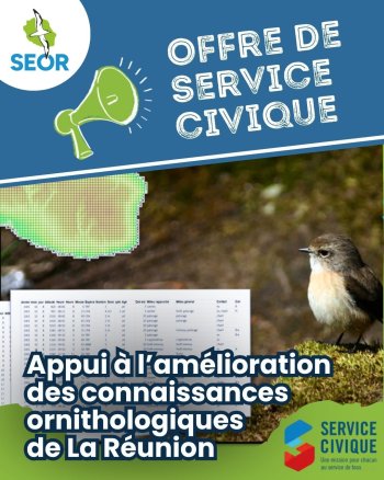 Offre de service civique - Amélioration des connaissances ornithologiques de La Réunion