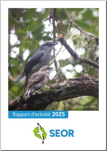 Rapport d'activité SEOR 2025